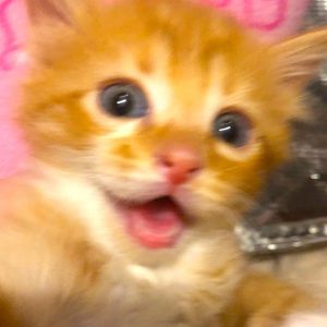 My bestie 💕💕💕💕💕💕💕💕